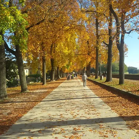 Apartamento Puccini *